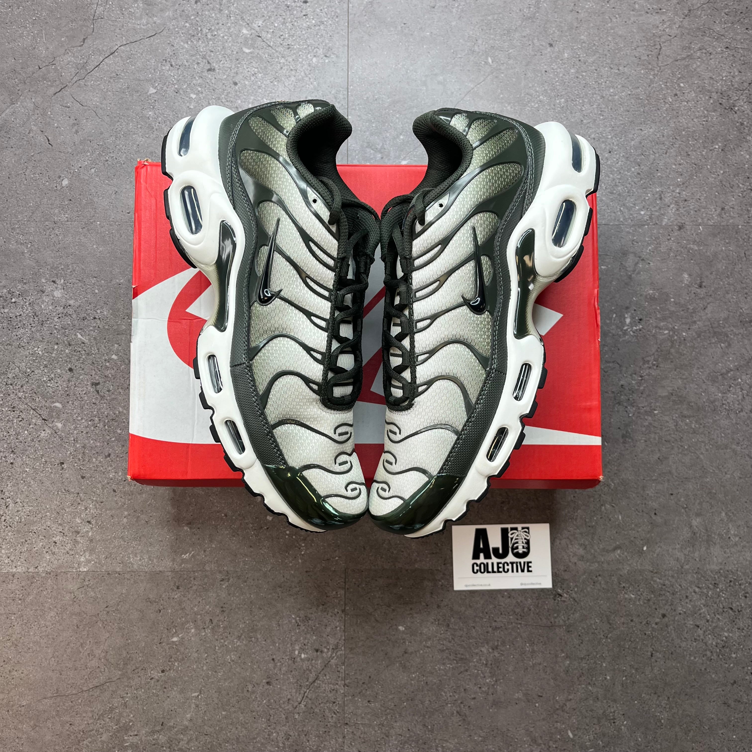 Nike Air Max Plus TN Sequoia Cargo Khaki