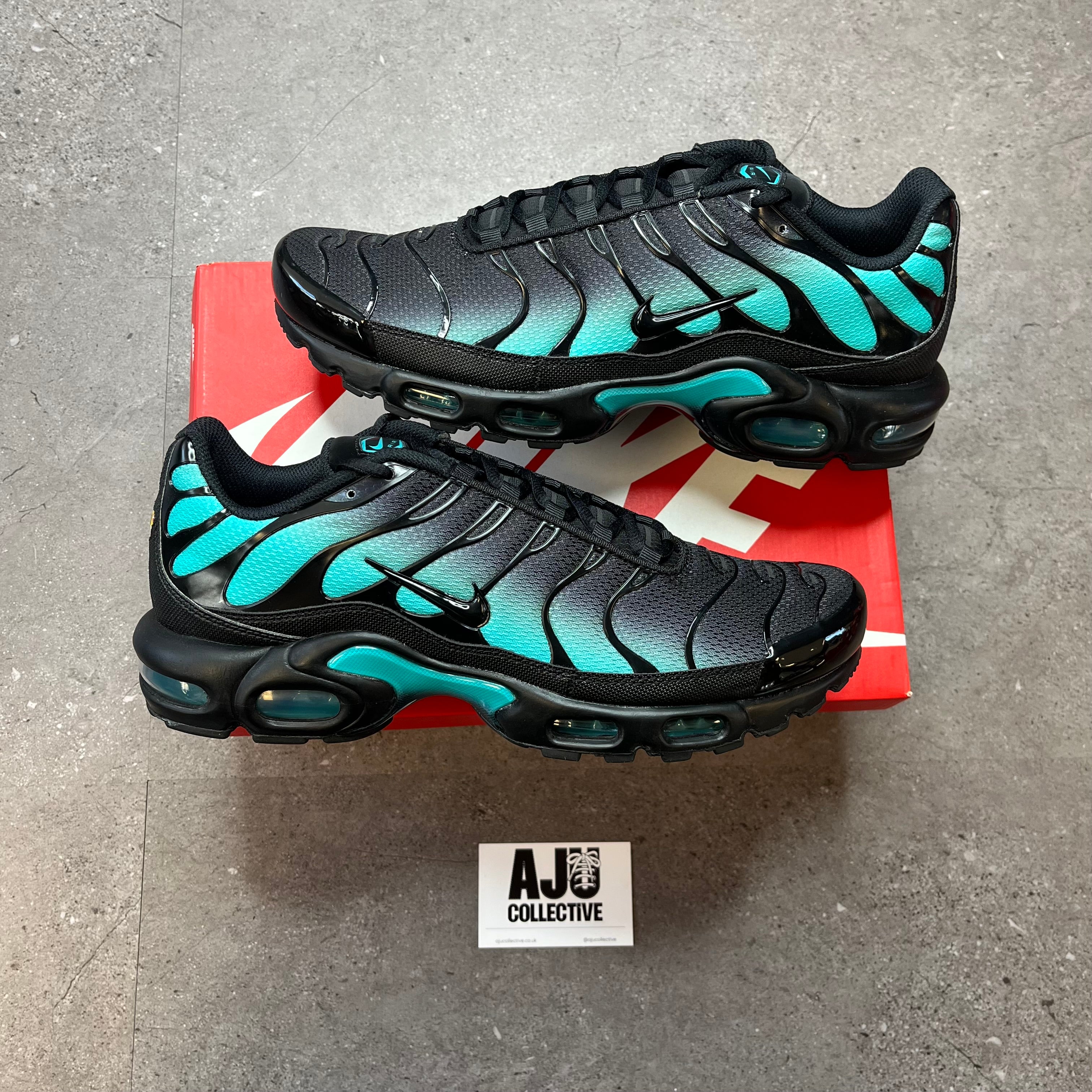 Nike Air Max Plus TN Black Dusty Cactus