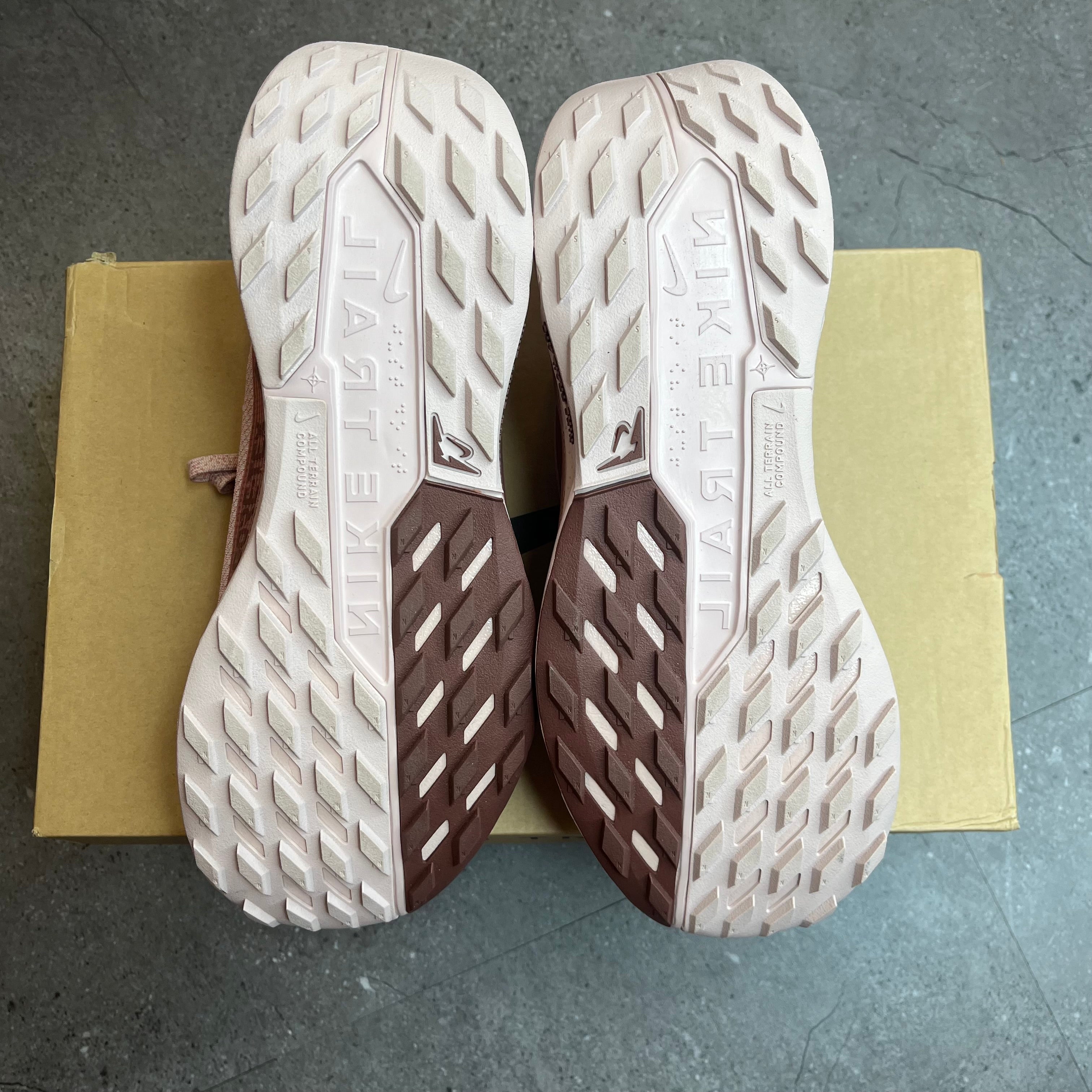 Nike Pegasus 5 Gore-Tex ‘Pink Oxford’