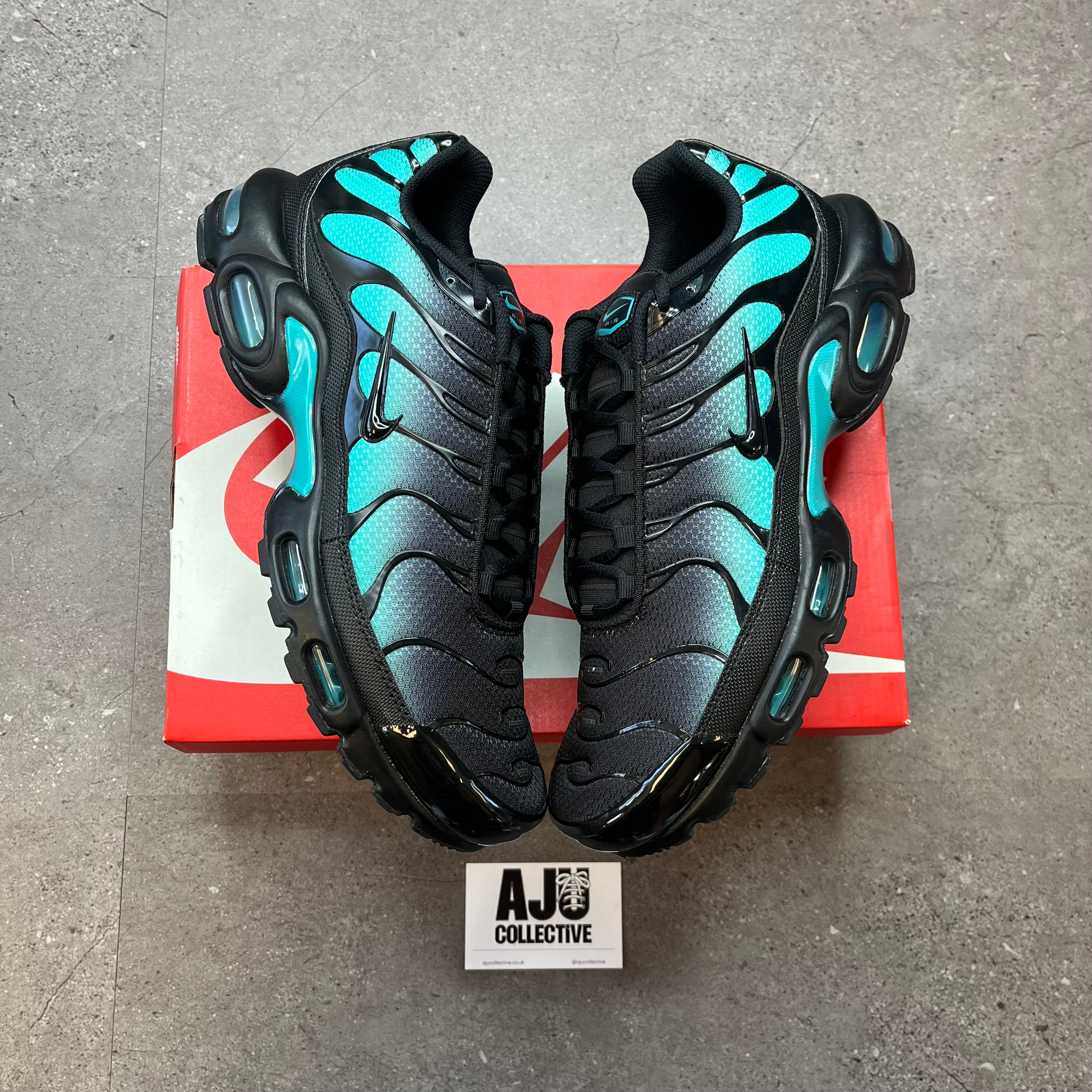 Nike Air Max Plus TN Black Dusty Cactus
