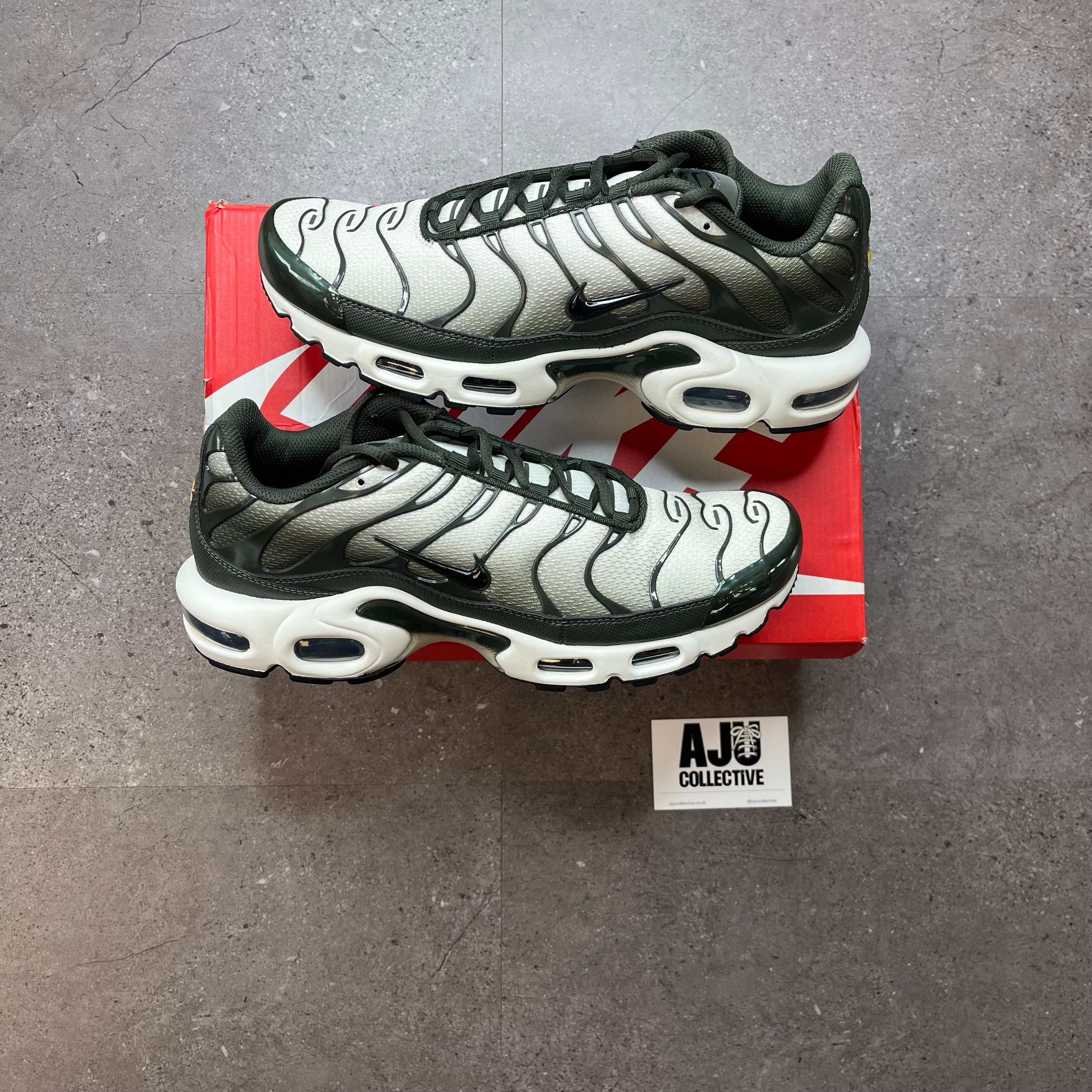 Nike Air Max Plus TN Sequoia Cargo Khaki