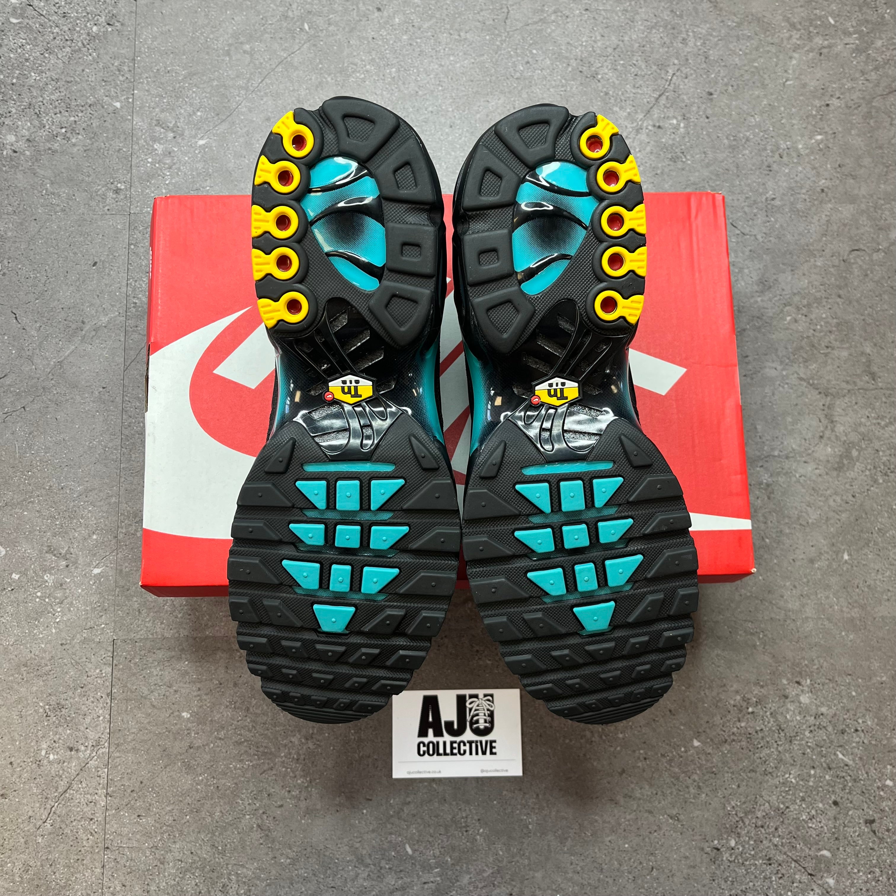 Nike Air Max Plus TN Black Dusty Cactus