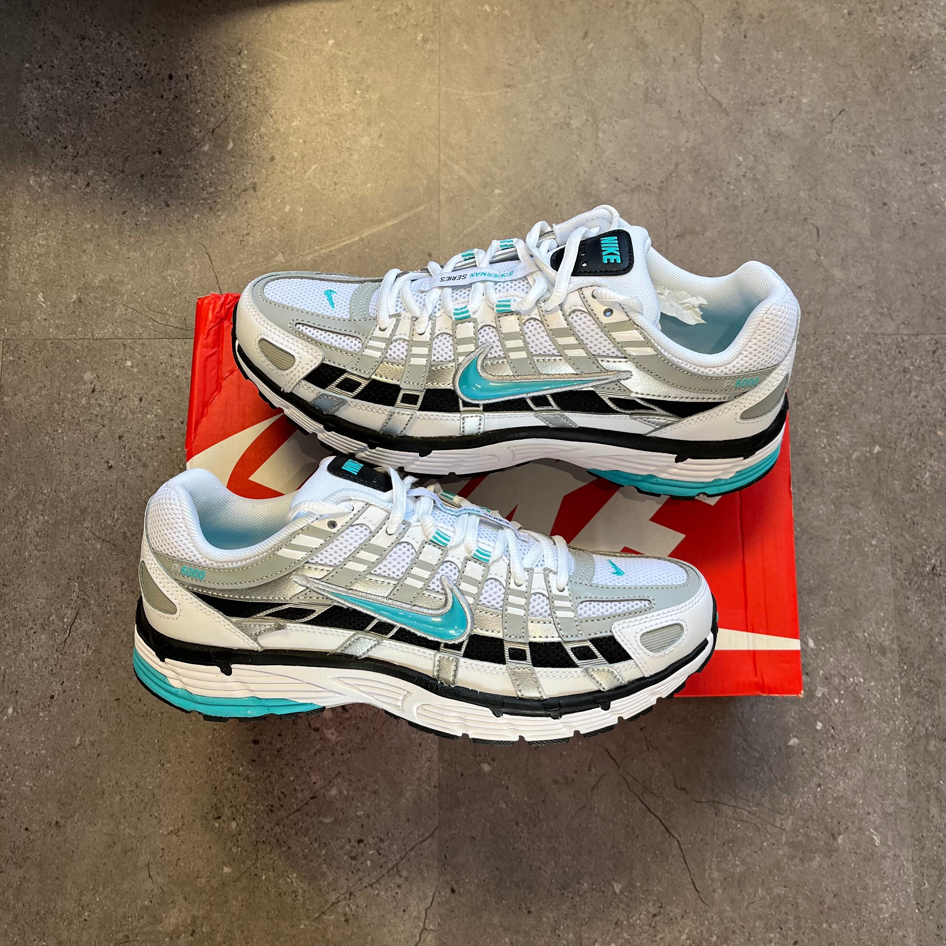 Nike P-6000 Dusty Cactus