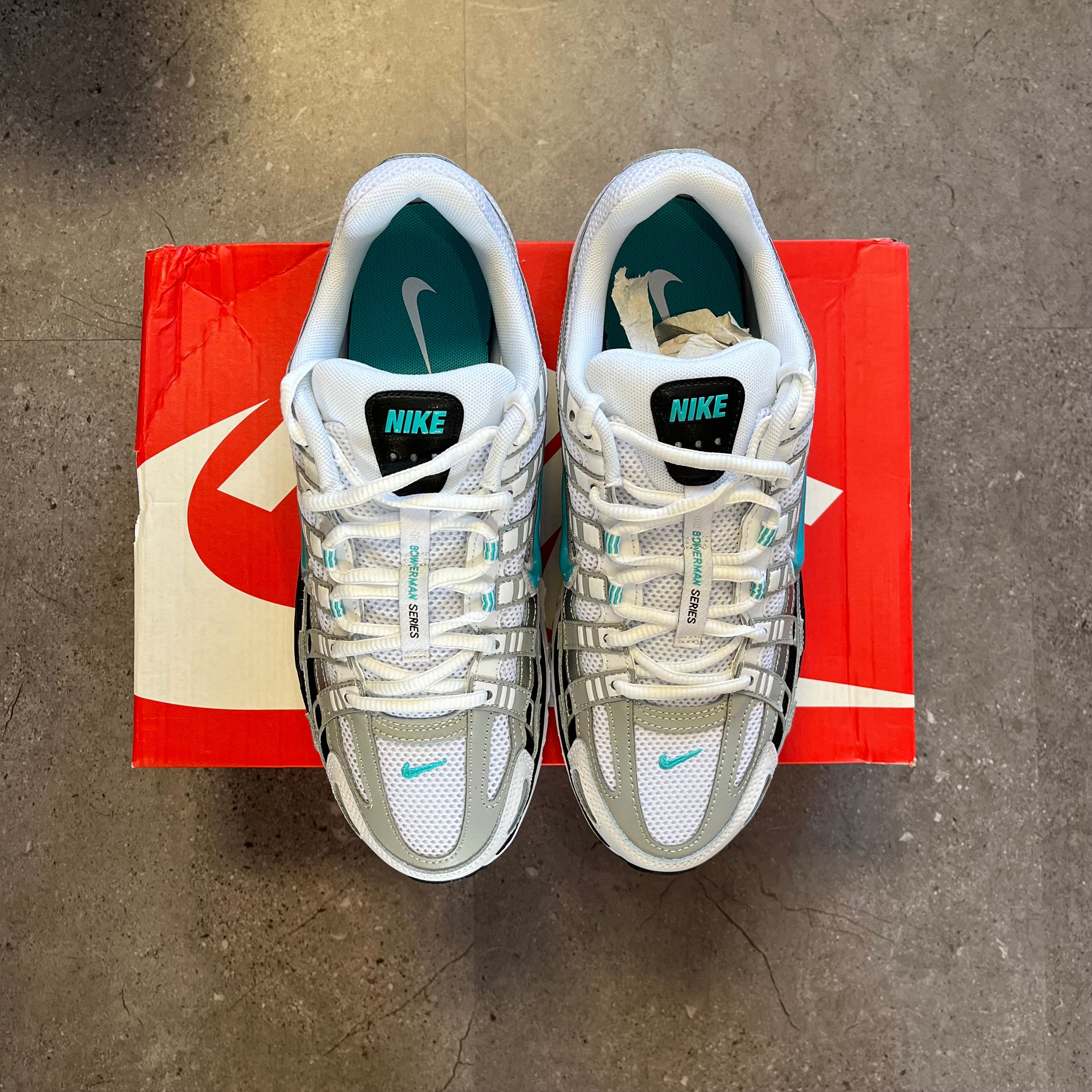 Nike P-6000 Dusty Cactus