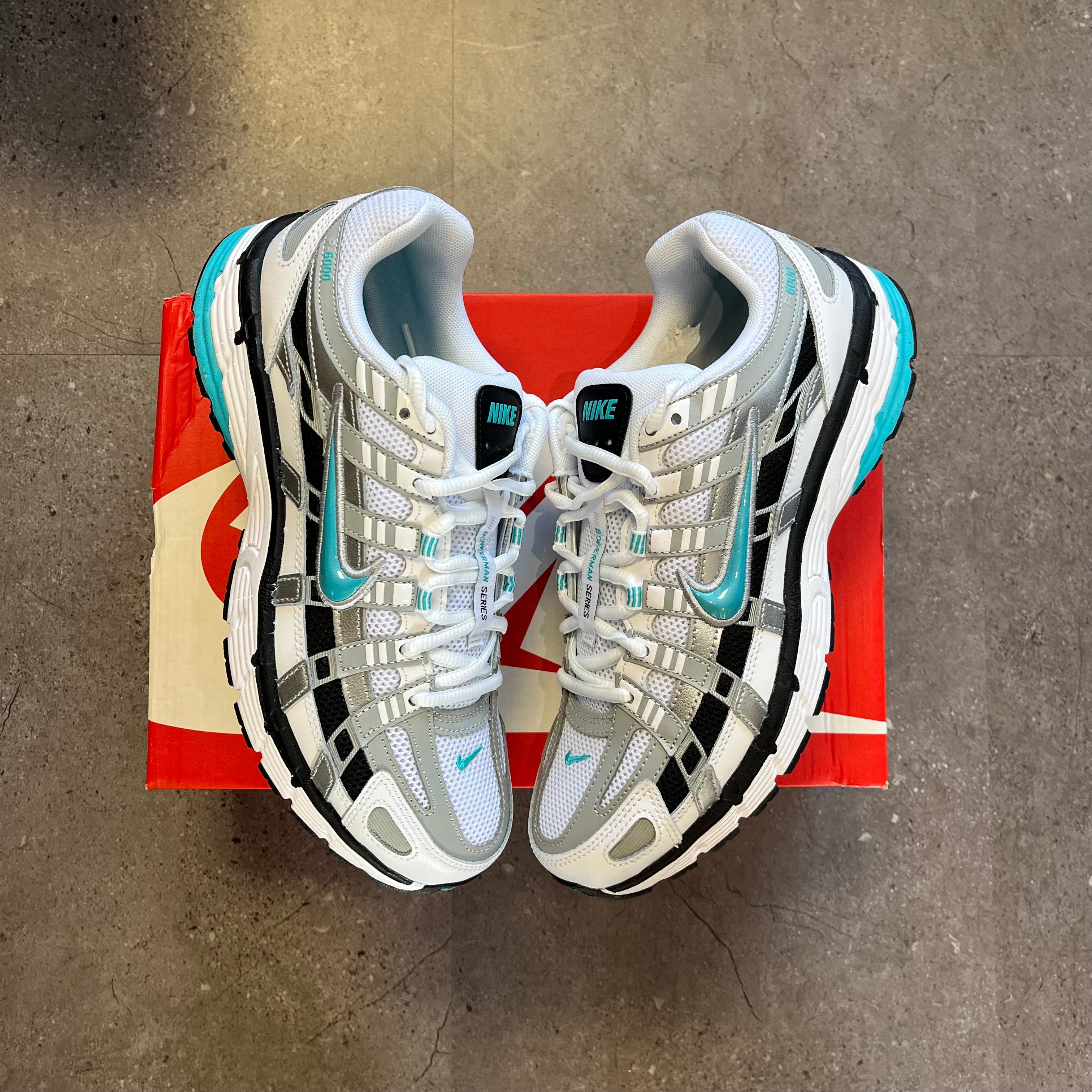 Nike P-6000 Dusty Cactus