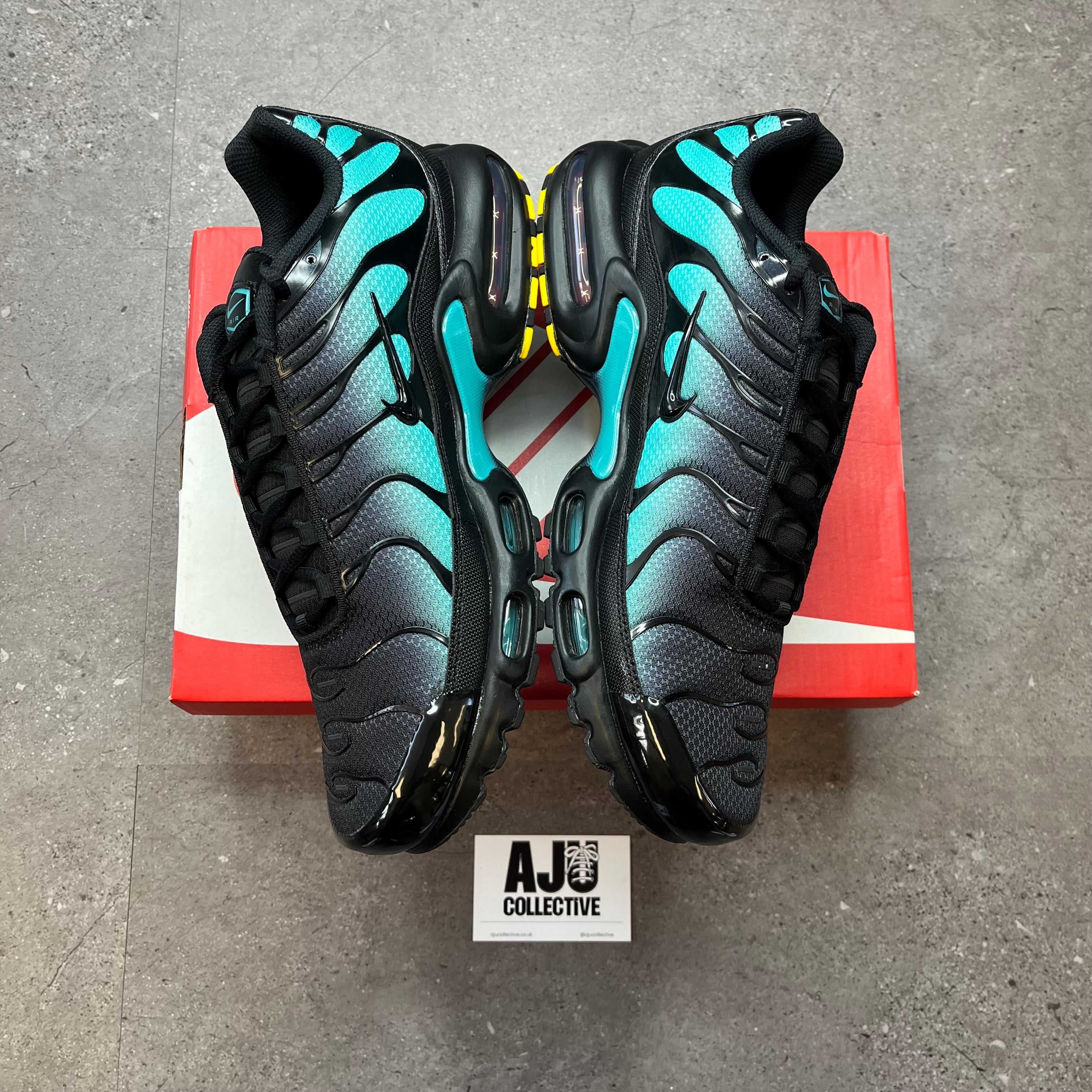Nike Air Max Plus TN Black Dusty Cactus