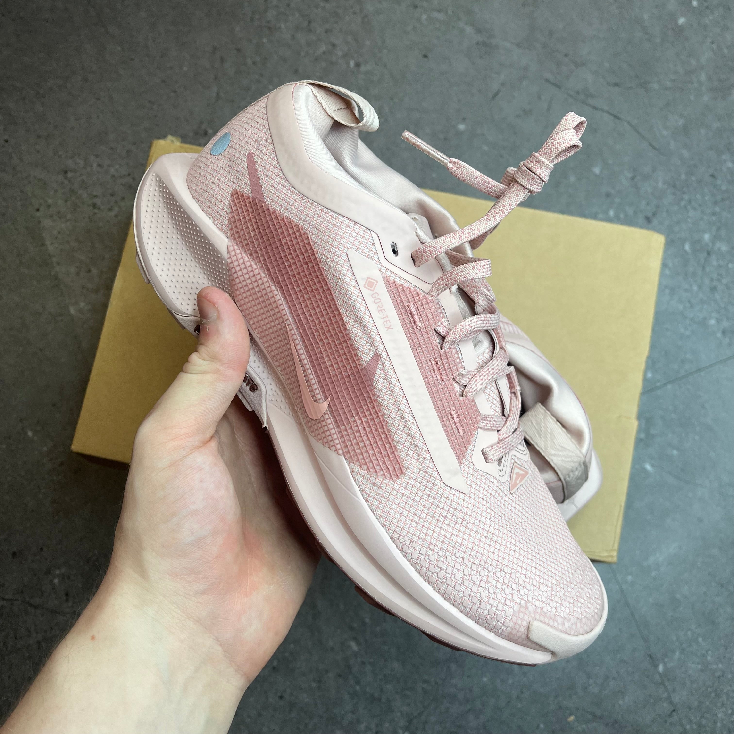 Nike Pegasus 5 Gore-Tex ‘Pink Oxford’