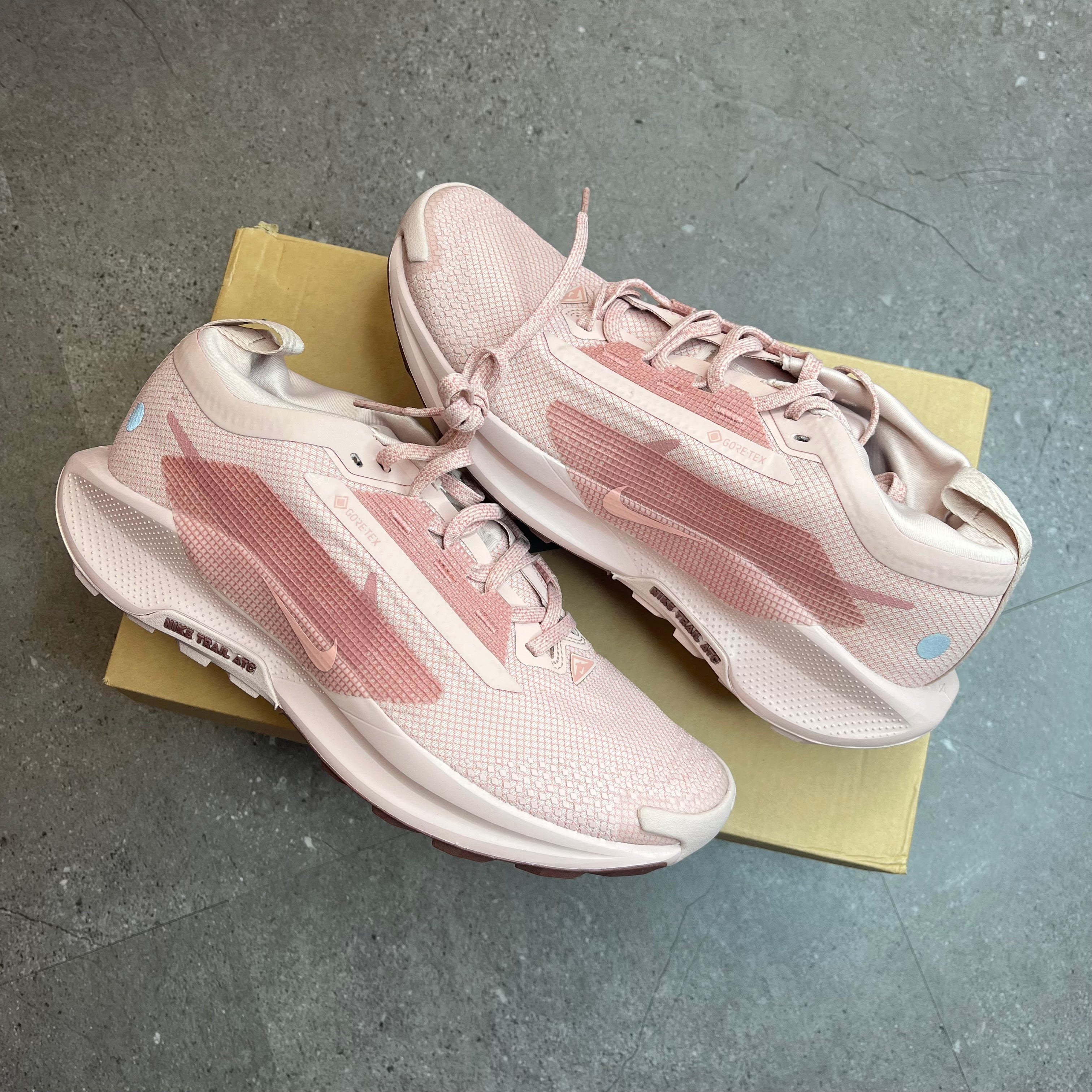 Nike Pegasus 5 Gore-Tex ‘Pink Oxford’