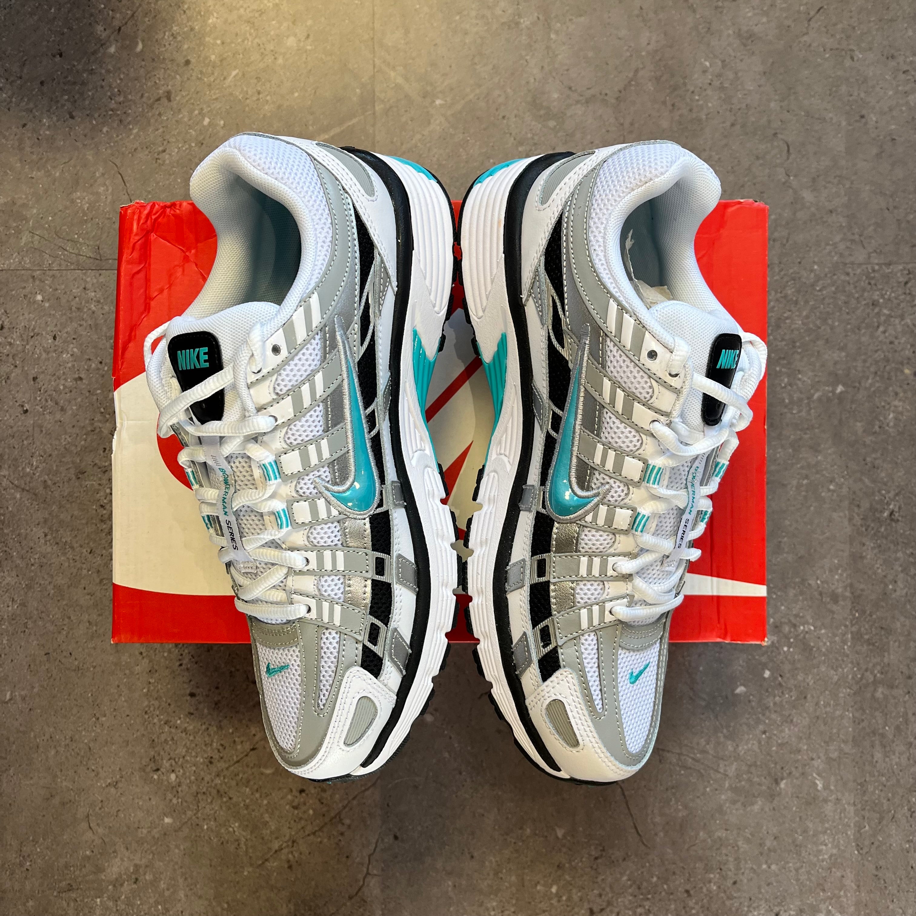 Nike P-6000 Dusty Cactus