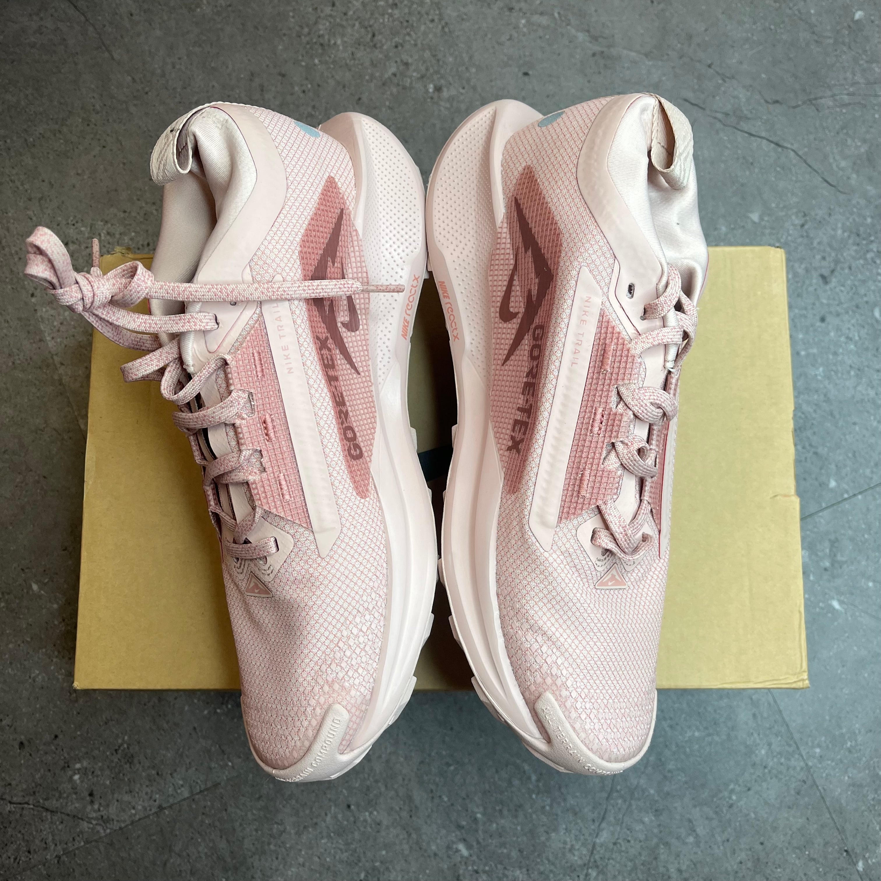 Nike Pegasus 5 Gore-Tex ‘Pink Oxford’