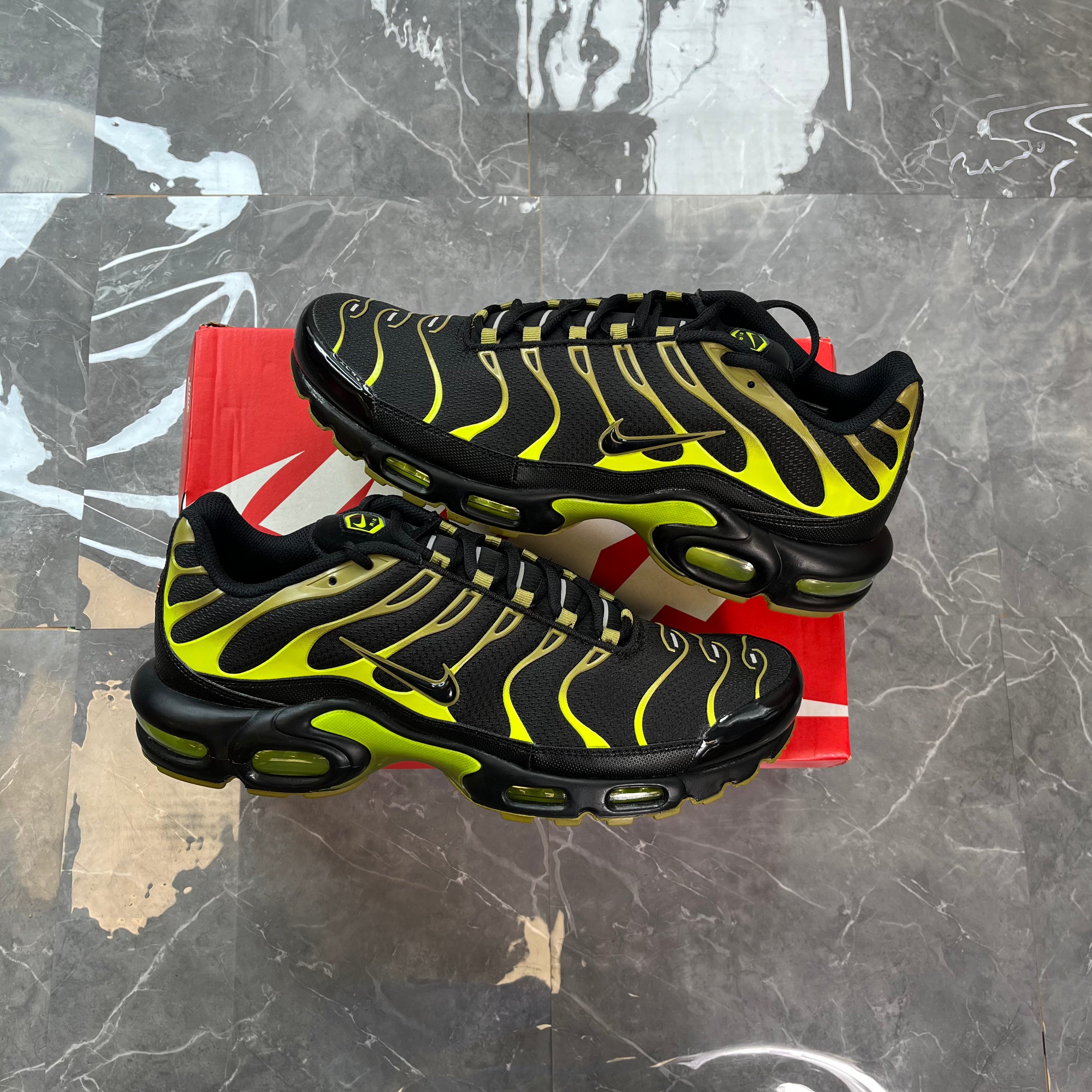 Nike Air Max Plus 'Pacific Moss'