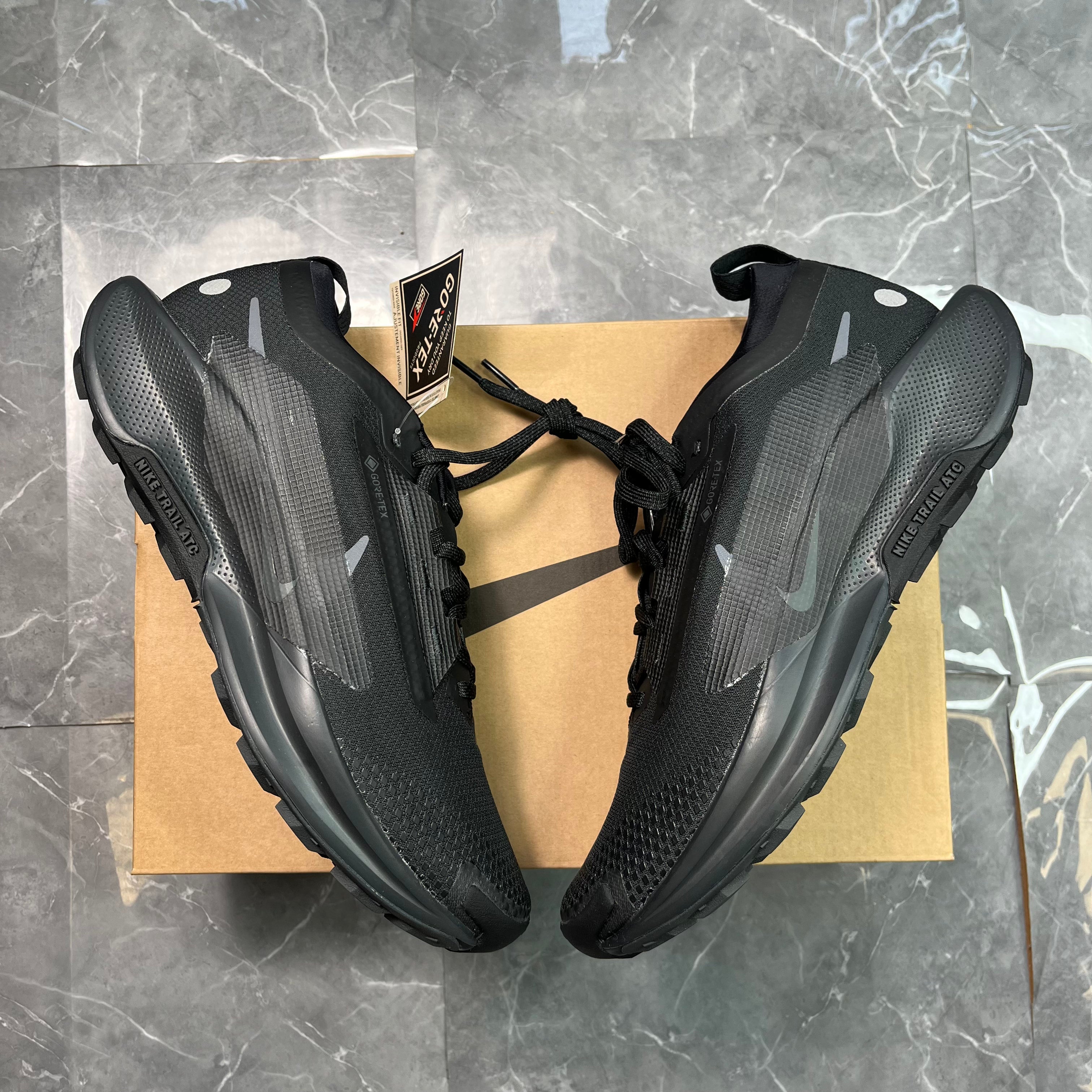 Nike Pegasus Trail 5 GTX Black Anthracite