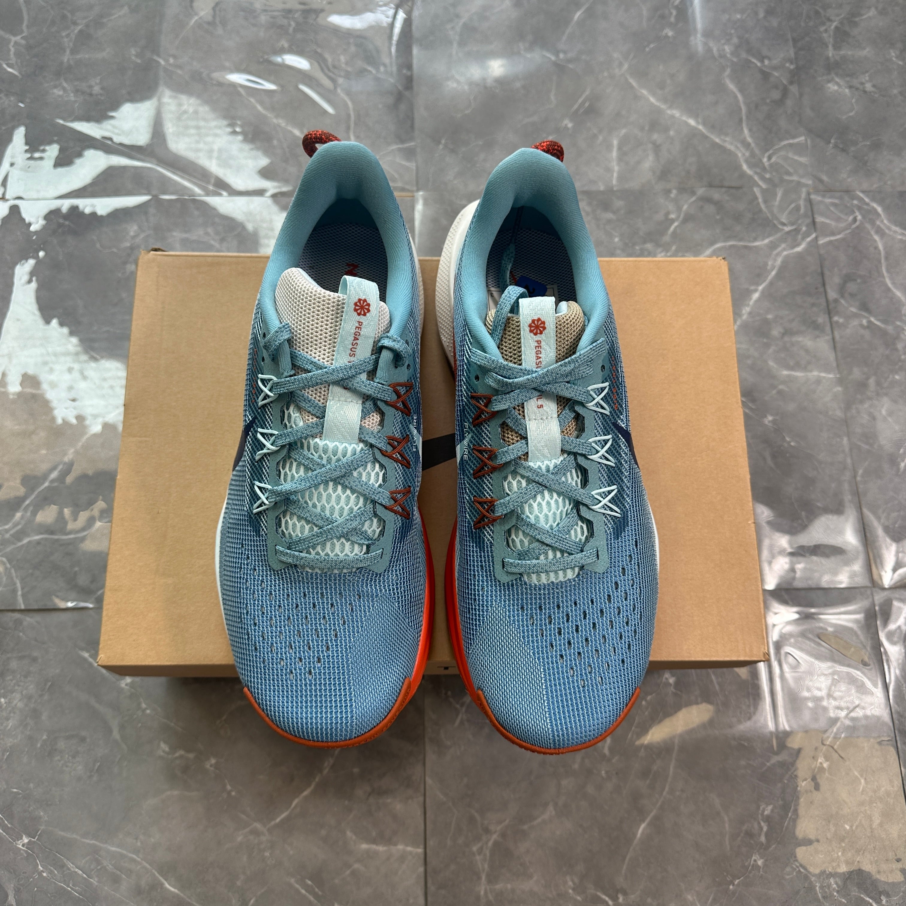 Nike Pegasus Trail 5 'Denim Turquoise'